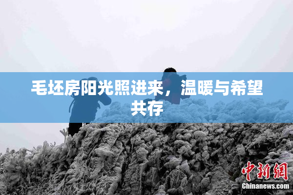 毛坯房阳光照进来，温暖与希望共存