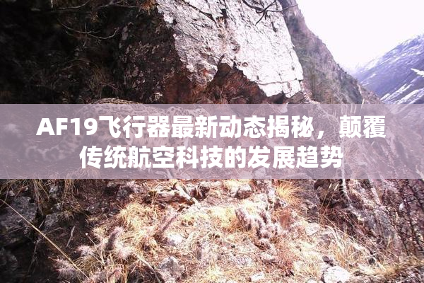 AF19飞行器最新动态揭秘，颠覆传统航空科技的发展趋势