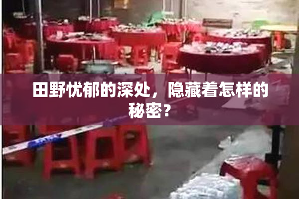 田野忧郁的深处，隐藏着怎样的秘密？