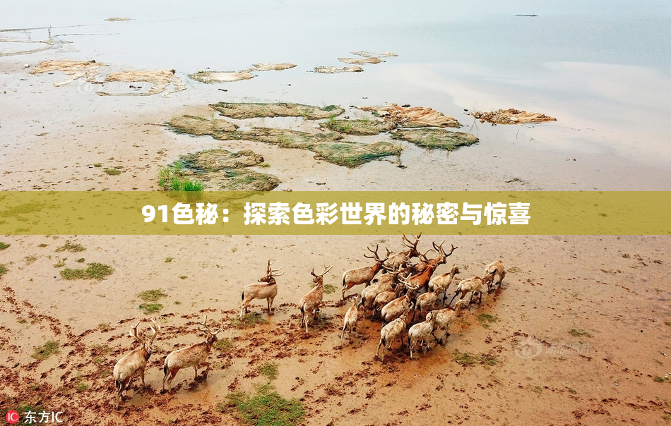 91色秘：探索色彩世界的秘密与惊喜