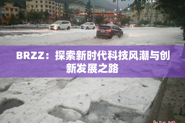 BRZZ：探索新时代科技风潮与创新发展之路