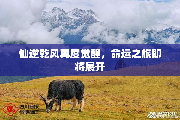 仙逆乾风再度觉醒，命运之旅即将展开