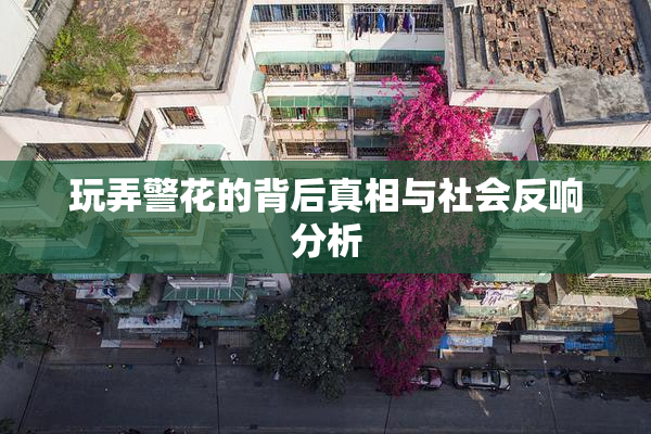 玩弄警花的背后真相与社会反响分析