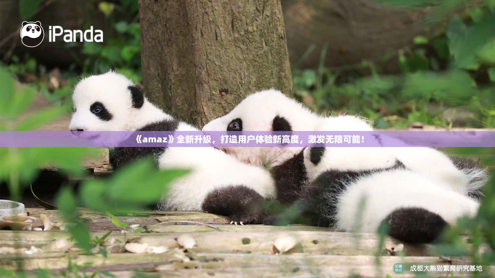 《amaz》全新升级，打造用户体验新高度，激发无限可能！