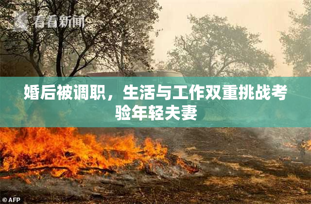 婚后被调职，生活与工作双重挑战考验年轻夫妻