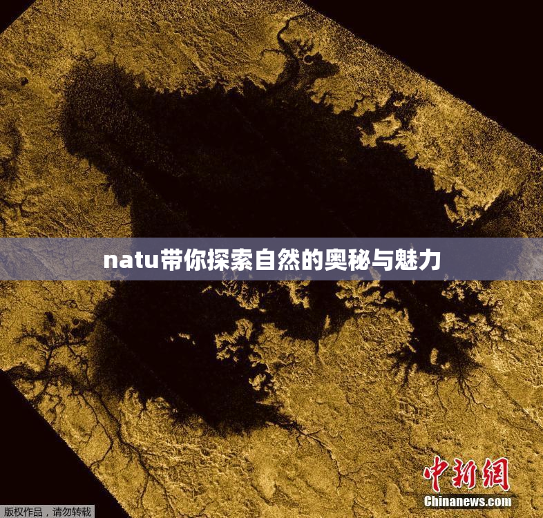 natu带你探索自然的奥秘与魅力