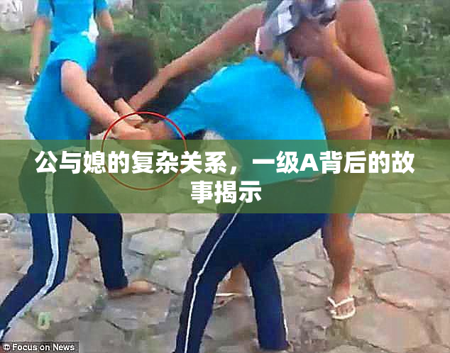 公与媳的复杂关系，一级A背后的故事揭示