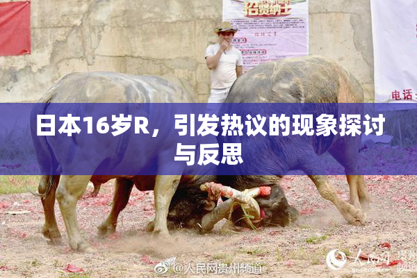 日本16岁R，引发热议的现象探讨与反思