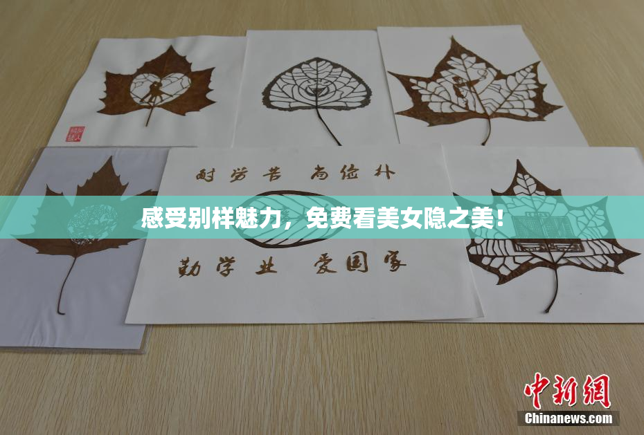 感受别样魅力，免费看美女隐之美！