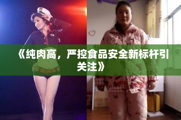 《纯肉高，严控食品安全新标杆引关注》