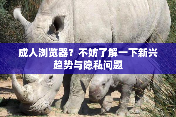 成人浏览器？不妨了解一下新兴趋势与隐私问题