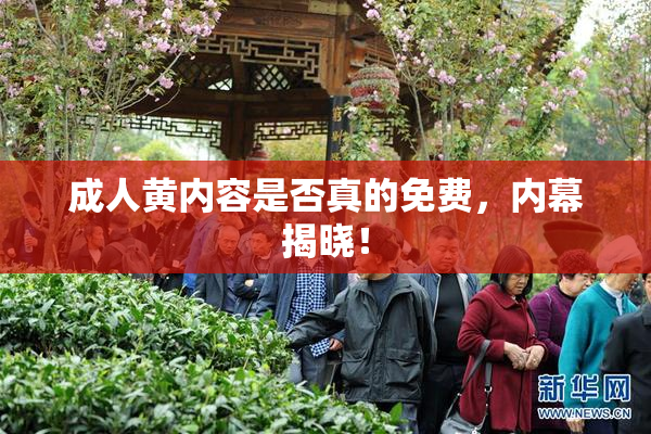 成人黄内容是否真的免费，内幕揭晓！