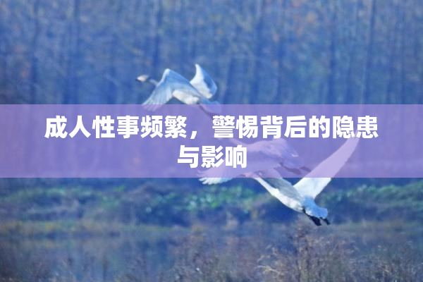 成人性事频繁，警惕背后的隐患与影响