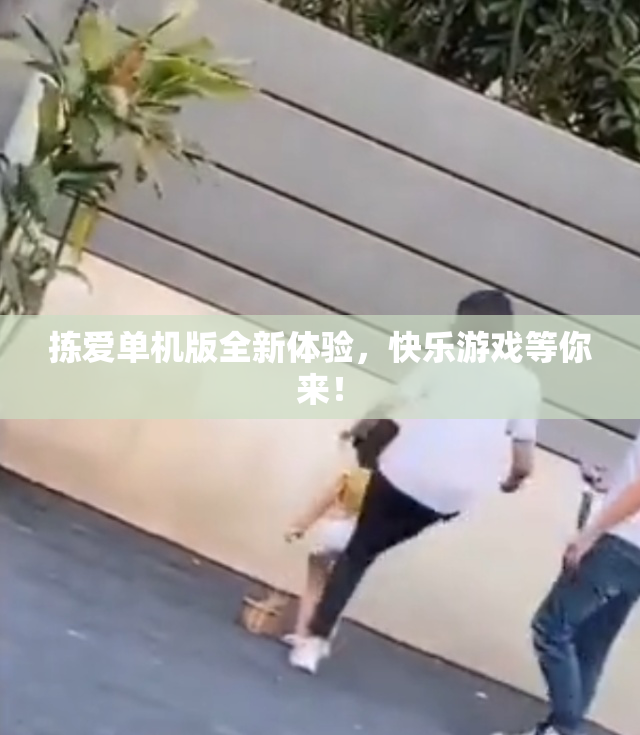 拣爱单机版全新体验，快乐游戏等你来！