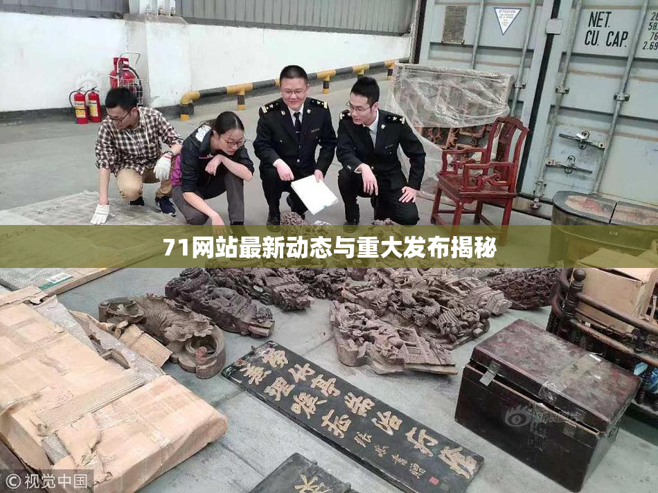 71网站最新动态与重大发布揭秘