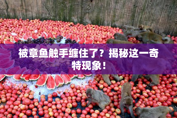 被章鱼触手缠住了？揭秘这一奇特现象！