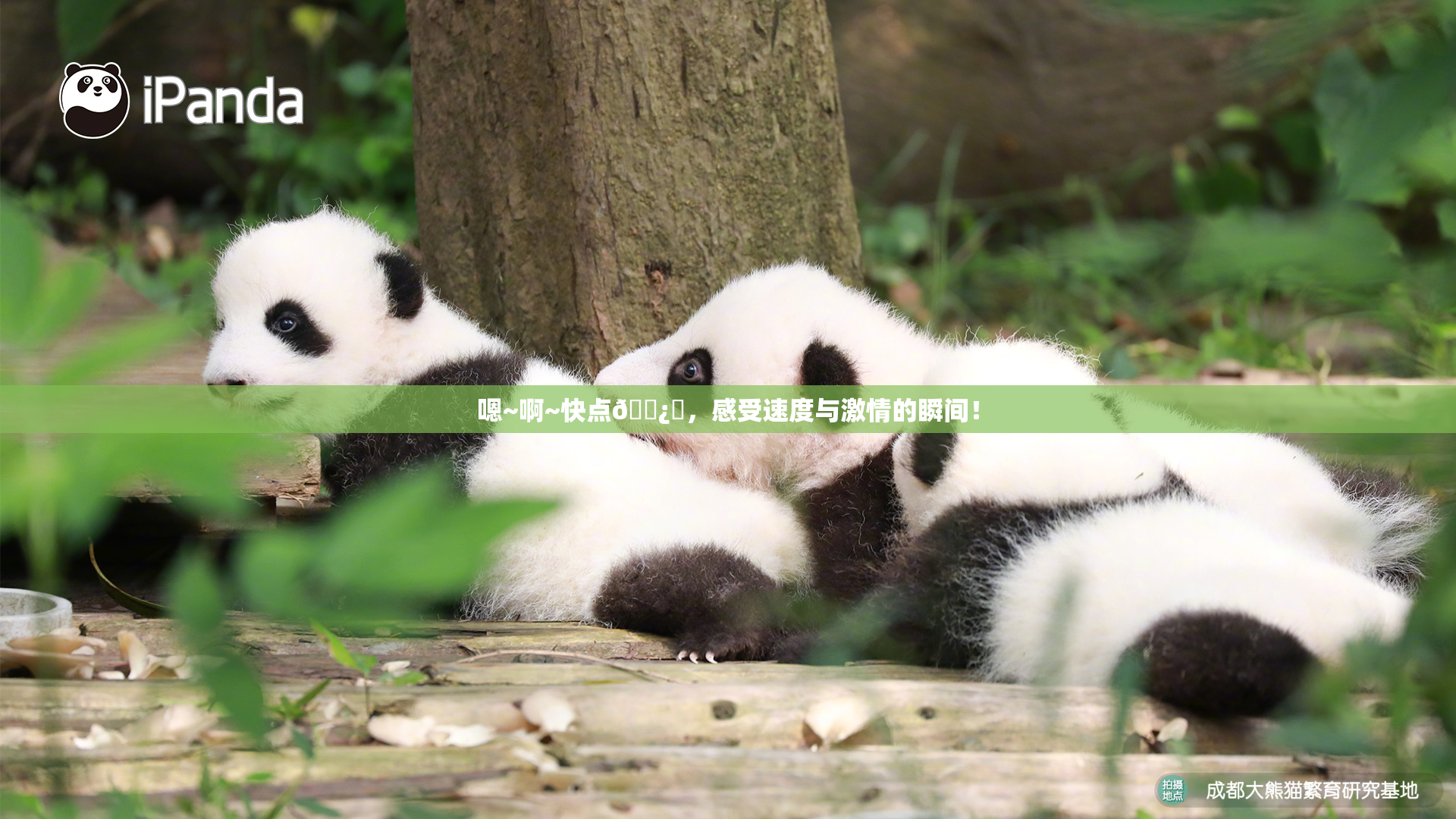 嗯~啊~快点🌿‌，感受速度与激情的瞬间！
