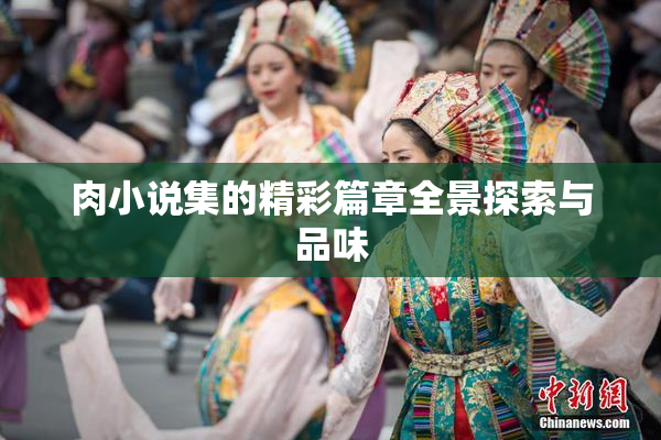 肉小说集的精彩篇章全景探索与品味