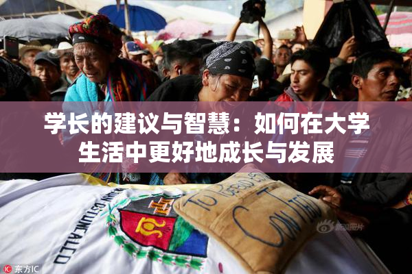 学长的建议与智慧：如何在大学生活中更好地成长与发展