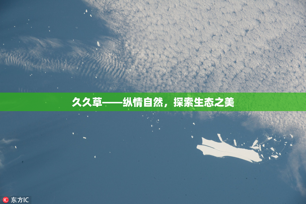久久草——纵情自然，探索生态之美