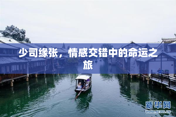 少司缘张，情感交错中的命运之旅