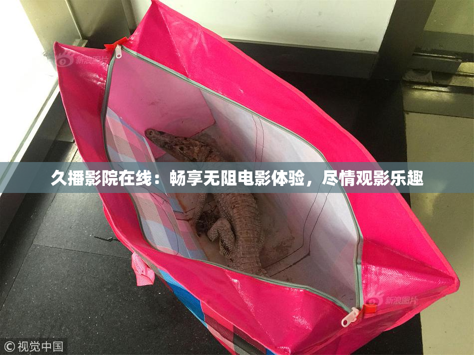 久播影院在线：畅享无阻电影体验，尽情观影乐趣
