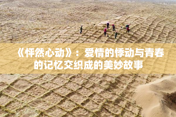 《怦然心动》：爱情的悸动与青春的记忆交织成的美妙故事