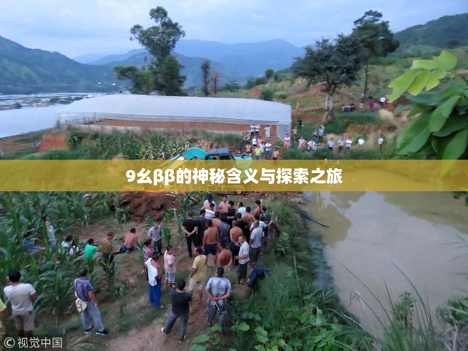 9幺ββ的神秘含义与探索之旅