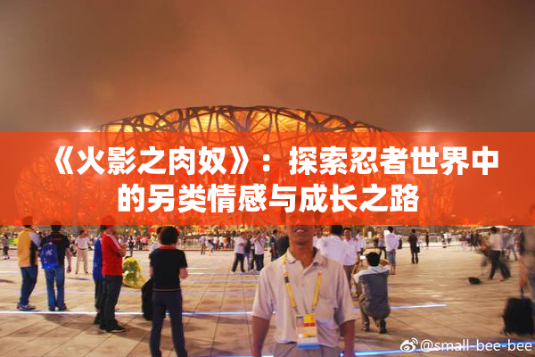 《火影之肉奴》：探索忍者世界中的另类情感与成长之路