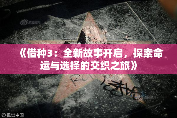 《借种3：全新故事开启，探索命运与选择的交织之旅》