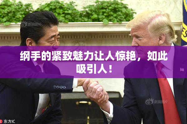 纲手的紧致魅力让人惊艳，如此吸引人！