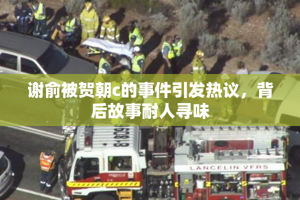 谢俞被贺朝c的事件引发热议，背后故事耐人寻味