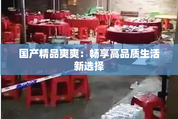 国产精品爽爽：畅享高品质生活新选择