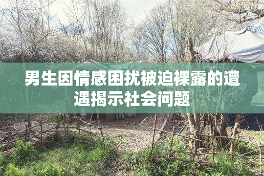 男生因情感困扰被迫裸露的遭遇揭示社会问题