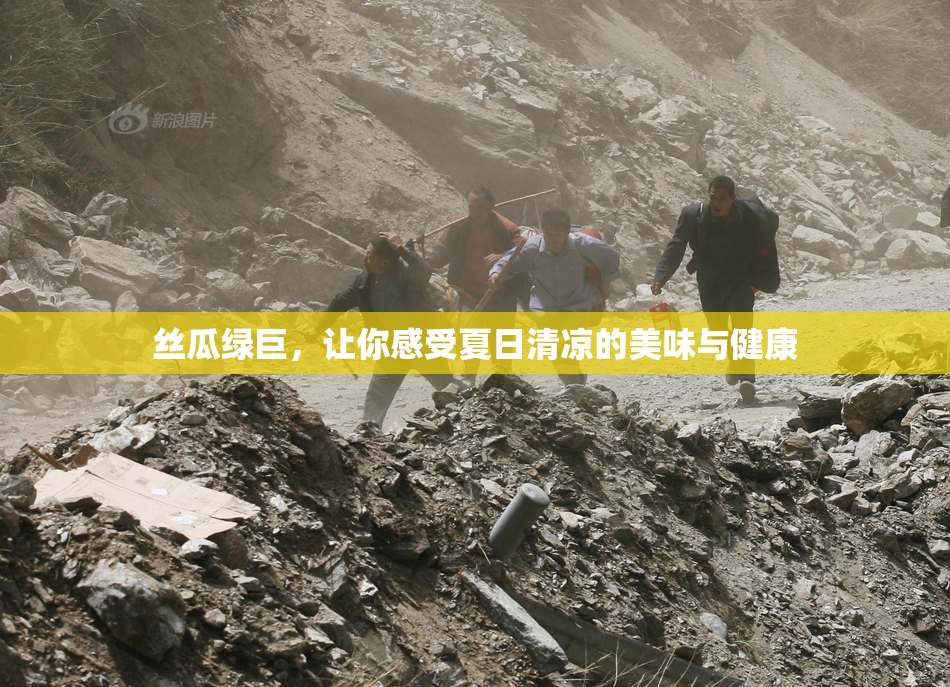 丝瓜绿巨，让你感受夏日清凉的美味与健康