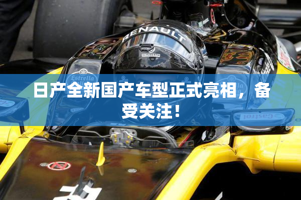 日产全新国产车型正式亮相，备受关注！