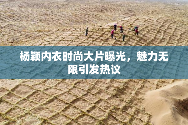 杨颖内衣时尚大片曝光，魅力无限引发热议