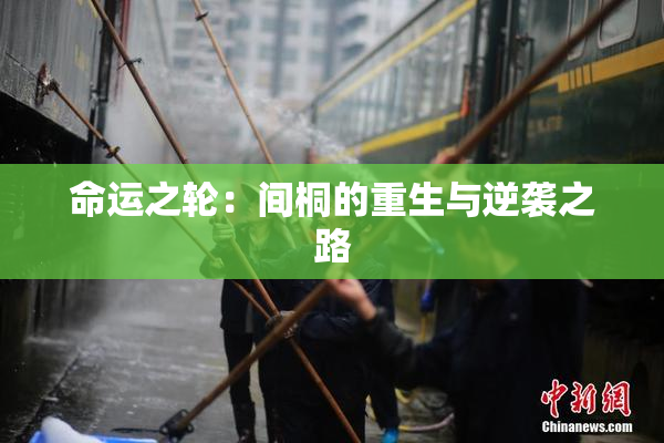 命运之轮：间桐的重生与逆袭之路