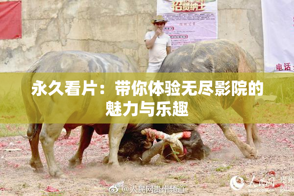 永久看片：带你体验无尽影院的魅力与乐趣