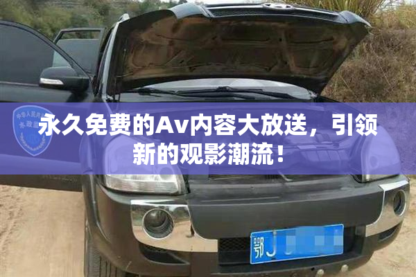永久免费的Av内容大放送，引领新的观影潮流！