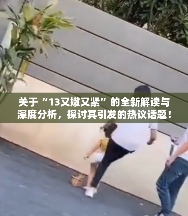 关于“13又嫩又紧”的全新解读与深度分析，探讨其引发的热议话题！
