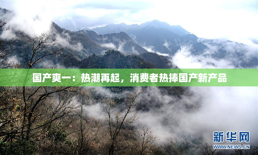 国产爽一：热潮再起，消费者热捧国产新产品