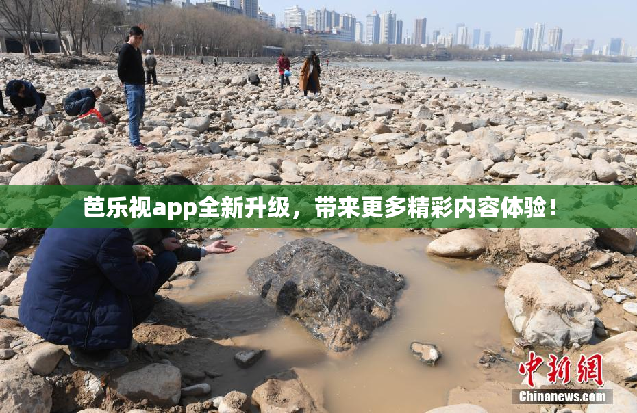 芭乐视app全新升级，带来更多精彩内容体验！