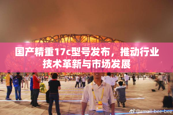 国产精重17c型号发布，推动行业技术革新与市场发展