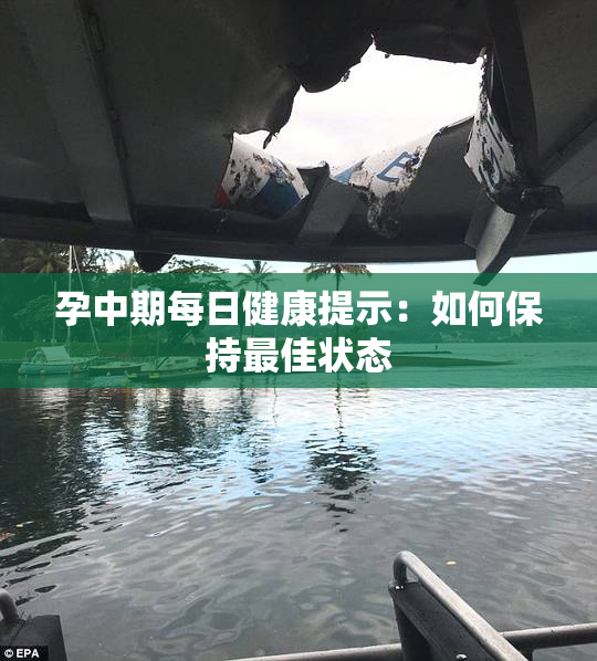 孕中期每日健康提示：如何保持最佳状态