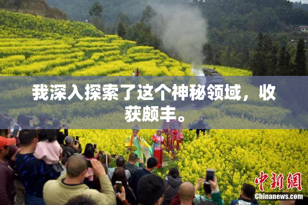 我深入探索了这个神秘领域，收获颇丰。