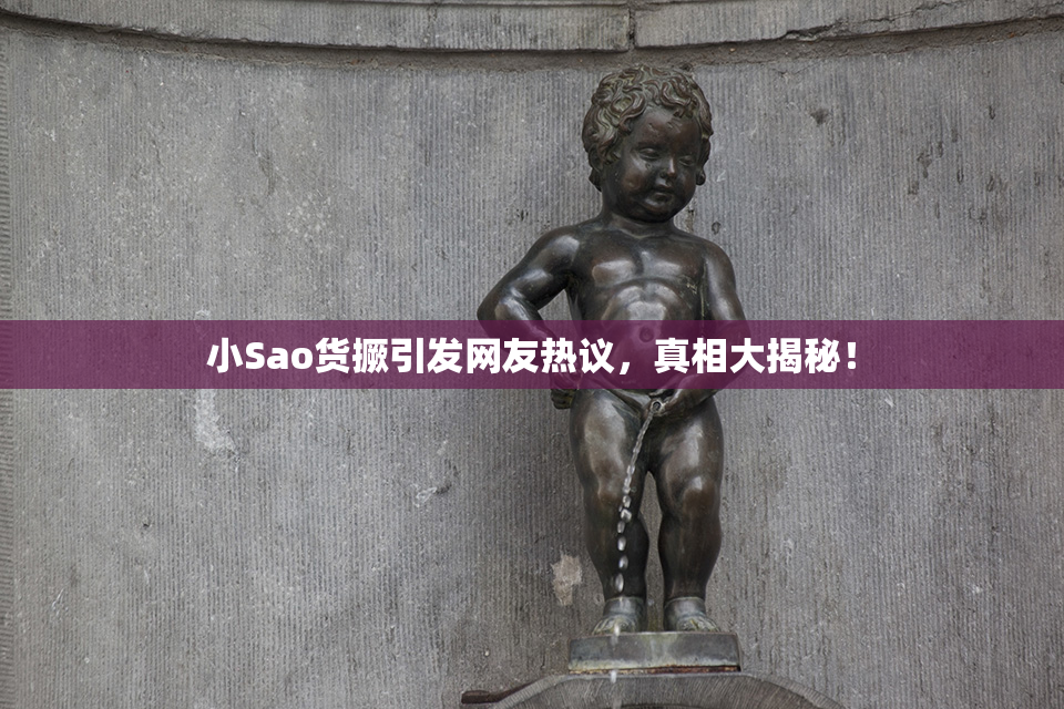 小Sao货撅引发网友热议，真相大揭秘！