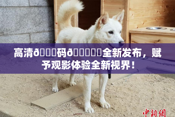 高清🈚码🔞❌‌全新发布，赋予观影体验全新视界！