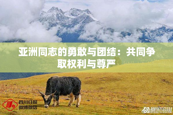 亚洲同志的勇敢与团结：共同争取权利与尊严