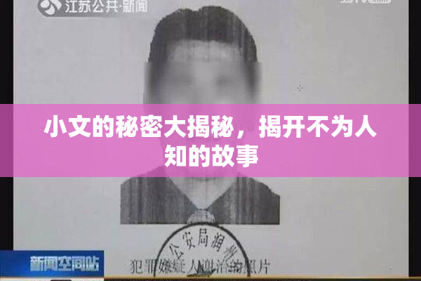 小文的秘密大揭秘，揭开不为人知的故事